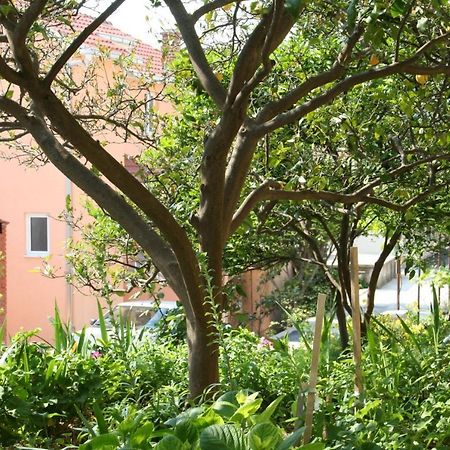 Apartment Podgora 518B Kültér fotó